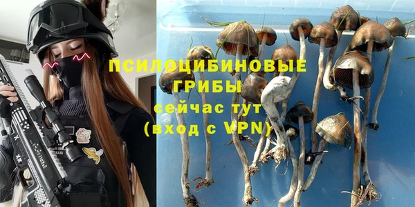 прущая мука Горнозаводск